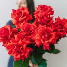 7 французских роз